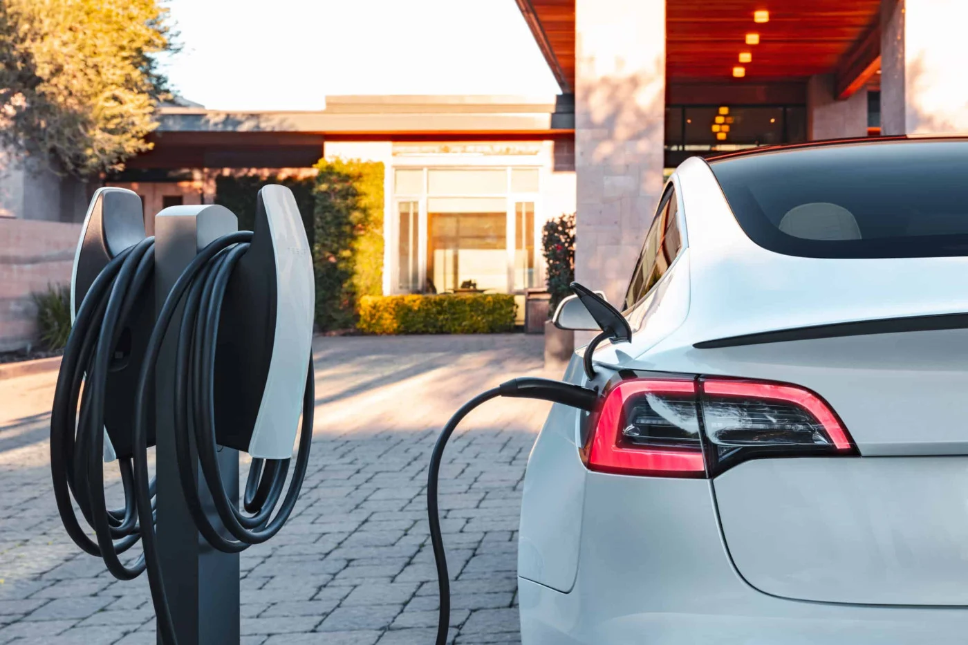 PZU Group launches fleet electrification